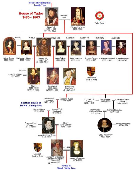 tudor monarch 2|house of tudor family tree.